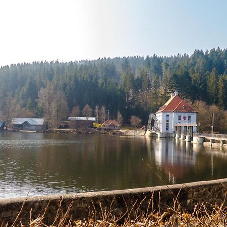 Ferienhaus Nr 18B1, Feriendorf Hagbuegerl, Bayr Wald Waldmünchen Esterno foto